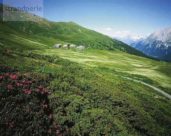 Landschaftlich schön landschaftlich reizvoll Hütte Berg Alpen Wiese Kanton Bern Bergpanorama
