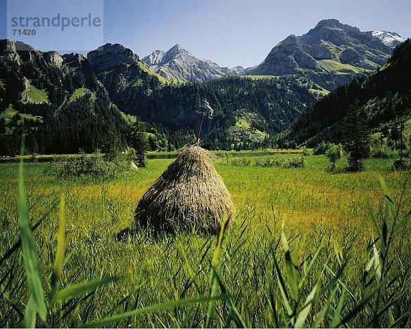 Berg Alpen Kanton Bern Euro Schweiz Bergpanorama