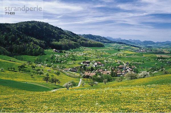 10059954  Basel  Basel  Land  Land  Frühling  Hafelfingen  Landschaft  Panorama  Schweiz  Europa  Überblick