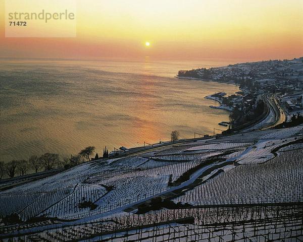 10065218  Cully  Genfersee  Genfersee  Panorama  Weinberge  Schweiz  Europa  Sonnenuntergang  Waadt  Winter