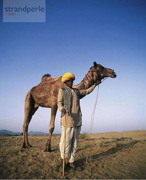 10084976  Indien  Asien  Kamelfuhrer  Mann  Kamele  Porträt  Rajasthan  Wüste