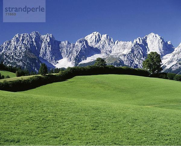10086955  Landschaft  Gebirge  Büsche  Dickicht  Österreich  Europa  Wiese  Wilder Kaiser