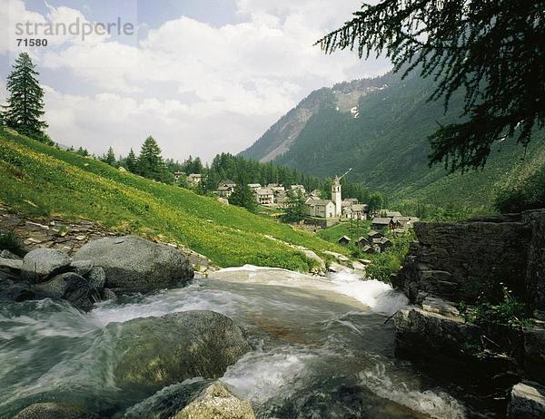 10090822  Mountain Brook  Bach  Berge  Alpen  Alpen  Alm  Bosco Curin  Schweiz  Europa  Steine  Tal