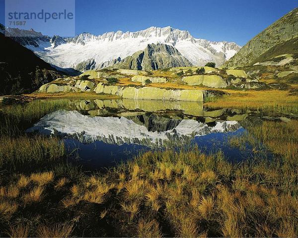 10091228  alpine  Alpen  Berg  See  gelb  Gletscher  Gras  Ausgedoerrt  Landschaft  Schweiz  Europa  Spiegelung  Uri  Sw