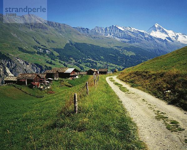10091266  alpine  Alpen  Alp  Alm  Arbey  Berge  Dent Blanche  Feldweg  Landschaft  Wallis  Schweiz  Europa