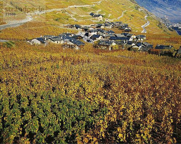 10091462  Dorf  Herbst färben  Kurven  Martigny-Combe  Weingarten  Ruinen  neigen Dächer  Schweiz  Europa  Straßen  Wallis