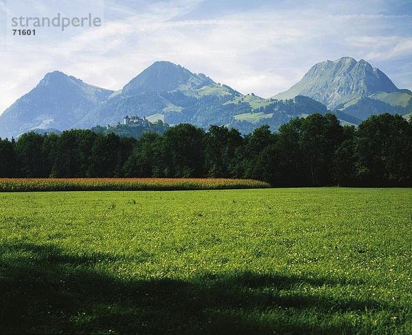 Kornfeld Landschaftlich schön landschaftlich reizvoll Europa Palast Schloß Schlösser Schweiz