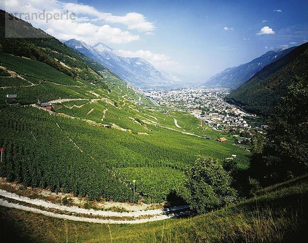 10091514  Martigny  Weinberge  Schweiz  Europa  Überblick  Wallis  Wein