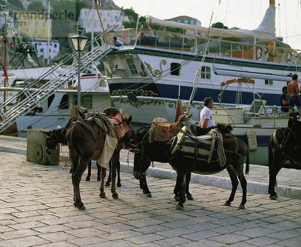 10131824  Esel  Griechenland  Hafen  Port  Hydra  Inseln  Inseln  Menschen  Schiffe