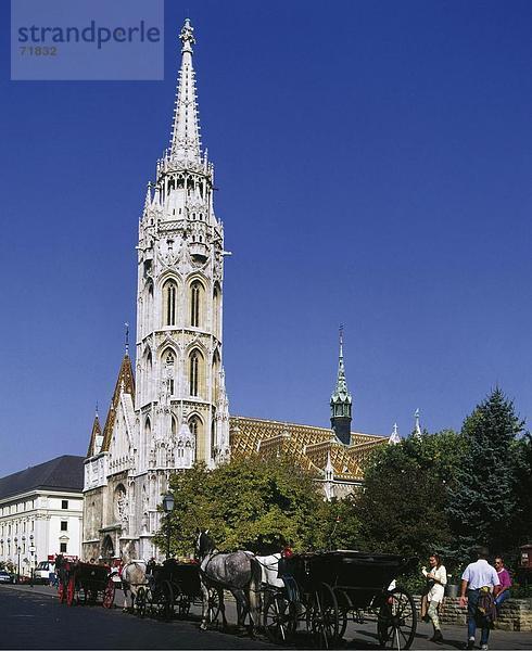 10173848  Ansicht  Budapest  Dach  Trainer  Matthias Kirche  Turm  Turm  Ungarn  Europa