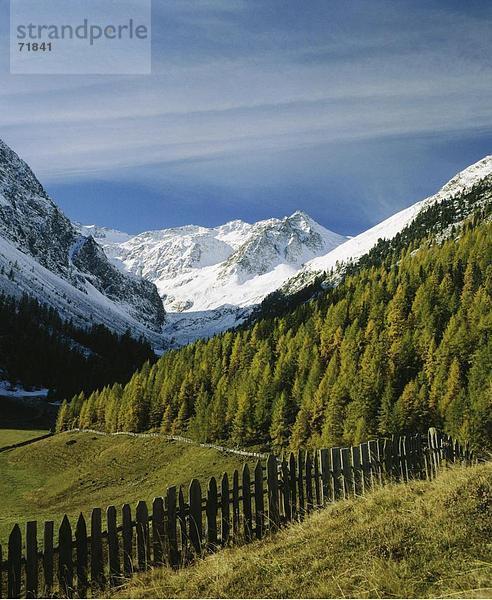 Landschaftlich schön landschaftlich reizvoll Europa Tal Wald Holz Herbst Zaun Österreich Sellrain Tirol