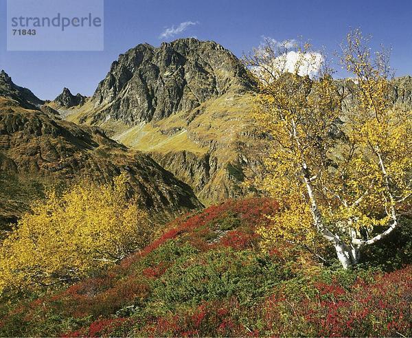 10176571  alpine  Vegetation  Alpen  Berge  Felsen  Felsen  Herbst  Hochmaderer  Landschaft  Österreich  Europa  Silvretta  Vorarl