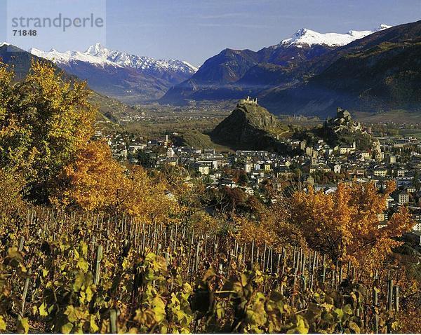 10178150  Castle Hill  Herbst  Rebberg  Schweiz  Europa  Sion  Tal Panorama  Überblick  Wallis