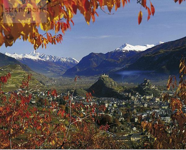 10179228  Castle Hill  Herbst Blätter  Schweiz  Europa  Sion  Tal Panorama  Berge  Überblick  Wallis