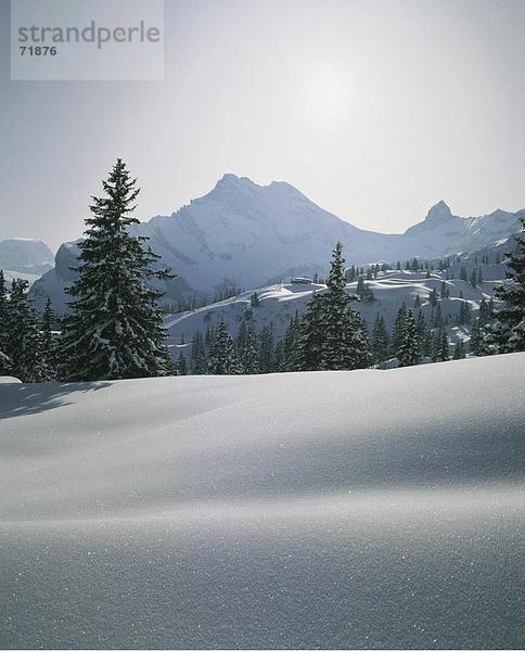 Gebirge Landschaftlich schön landschaftlich reizvoll Berg Alpen Kanton Glarus Gebirgszug Schnee Schweiz