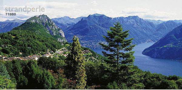 10204942  Bäume  Lago Maggiore  See  Meer  Landschaft  Monte Bre  Panorama  Schweiz  Europa  Tessin  Überblick