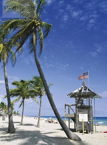 10206919  Badegäste  Florida  Miami Beach  Küste  Palmen  Strand  Meer  USA  Amerika  Nordamerika