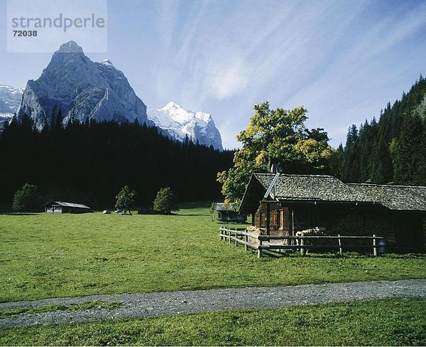 Europa Berg Chalet Alpen Wiese Berner Oberland Kanton Bern Schweiz