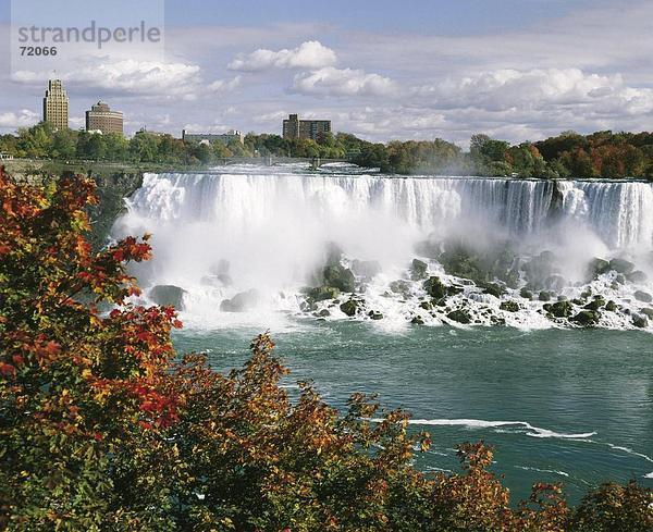 10214923  Ansicht Baum oben  Herbst  Blöcke von Wohnungen  Hochhäuser  Niagara Falls  Wasserfall  Stadt  Stadt  USA  America  N