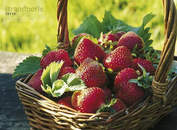 10224777  Erdbeeren  Früchte  Holztisch  Basket  Stilleben  Stilleben  Wiese  Speisen  Essen