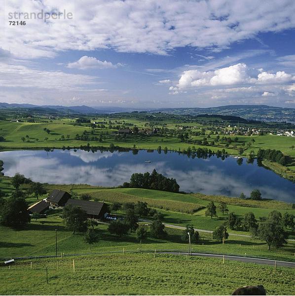 10230816  Gerichte  Werften  Huttensee  Kühe  Landschaft  Panorama  Seeufer  Zürich  Schweiz  Europa