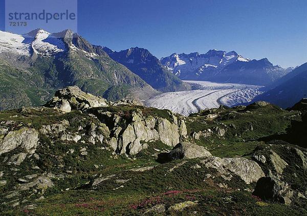 10239598  Aletsch Gletscher  Gletscher  Schweiz  Europa  Landschaft  Aletsch  Rothorn  Berge  Alpen  Alpen  Schweiz  Euro