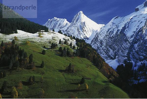 Landschaftlich schön landschaftlich reizvoll Berg Baum Alpen Herbst Schnee