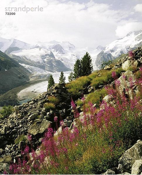 10242592  Landschaft  in der Nähe von Pontresina  Bellavista  Bernina-Gruppe  Engadin  Graubünden  Kanton Graubünden-Morteratsch-Gletschers  Panorama  S