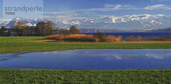 10246867  Feld Pflanzen  Baldeggersee  Bäume  Gebirge  Landschaft  Luzern  Reed  Schweiz  Europa  Ufer  See  Meer