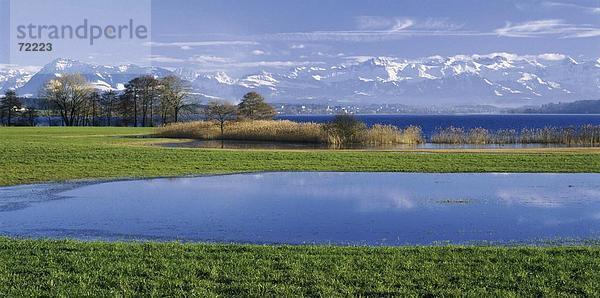 10246870  Feld Pflanzen  Baldeggersee  Bäume  Gebirge  Landschaft  Luzern  Reed  Schweiz  Europa  Ufer  See  Meer