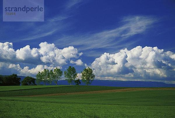 10254104  Bäume  Landschaft  Prahins  Schweiz  Europa  Waadt  Wiese  Wolken  Wetter