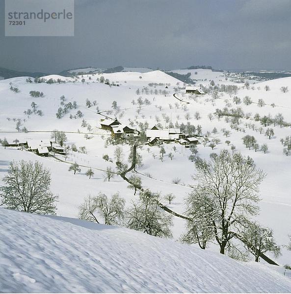 Landschaftlich schön landschaftlich reizvoll Europa Schneedecke Winter Wolke Wohnhaus Baum Gebäude Hügel Straße Schnee Schweiz Wetter