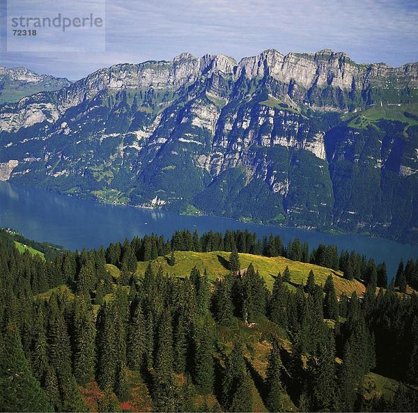 Landschaftlich schön landschaftlich reizvoll Europa Berg See Meer Draufsicht Schweiz Walensee