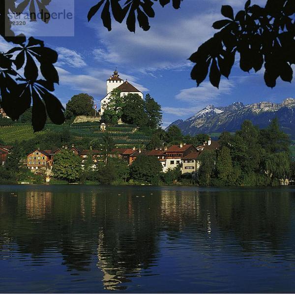 Wasserrand Europa Palast Schloß Schlösser See Meer Teich Schweiz Werdenberg