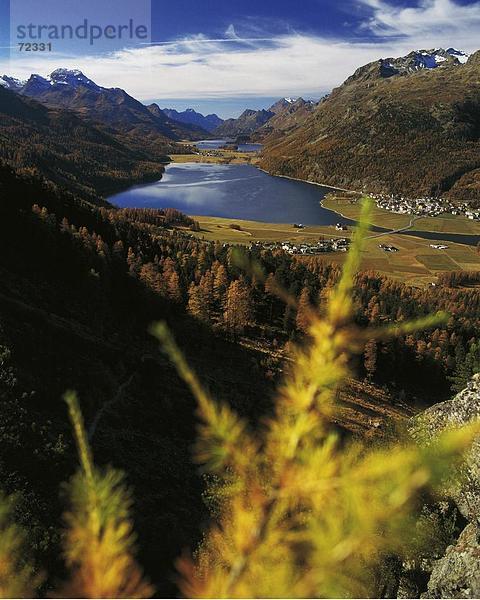 10267018  Landschaft  Oberengadin  Schweiz  Europa  Überblick  Berge  Alpen  Alpen  Engadin  Graubünden Graubünden  Herbst