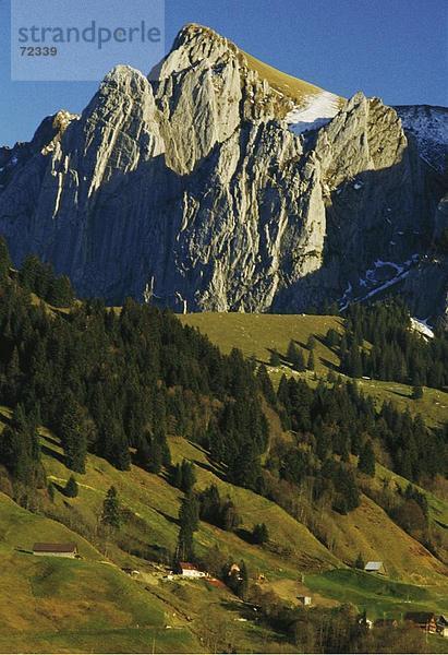 Landschaftlich schön landschaftlich reizvoll Europa Berg Wohnhaus Gebäude See Meer Tanne Schweiz Kanton Zug