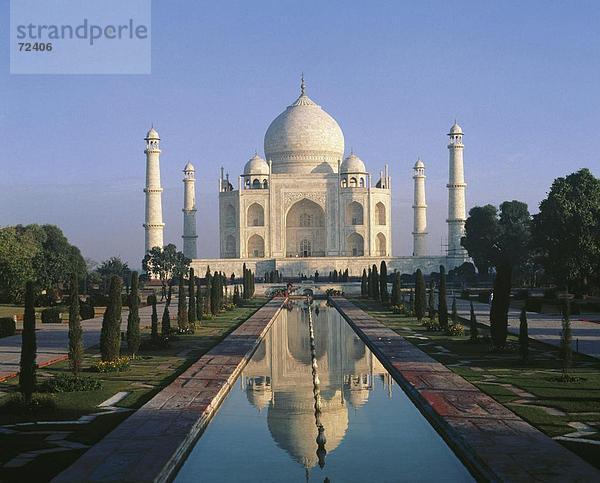 10282760  Agra  Garten  Indien  Asien  Spiegelung  Taj Mahal  Teich  dekorative Baum