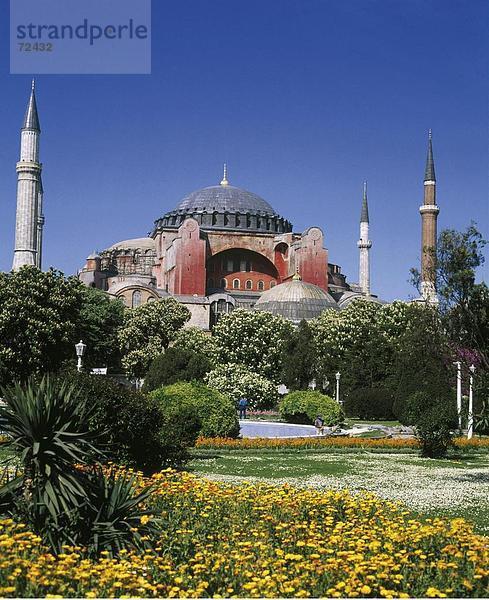 10291730  Bäume  Blumen  Hagia Sophia  Istanbul  Kuppel  Türkei  Türme  Türme  Sehenswürdigkeiten  Wiese
