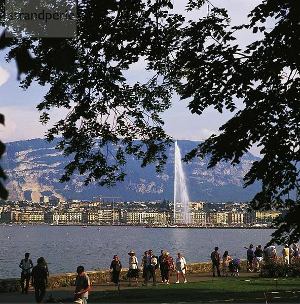 spazierengehen spazieren gehen Springbrunnen Brunnen Fontäne Fontänen Europa Mensch Menschen Europäische Union EU Ast Genf Schweiz