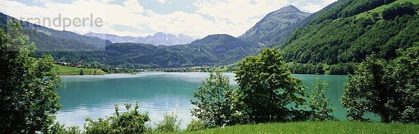 Panorama Landschaftlich schön landschaftlich reizvoll Europa Berg Baum Wald Holz Seeufer Schweiz