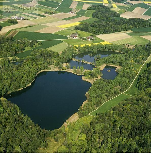 Landschaftlich schön landschaftlich reizvoll Europa Wald See Meer Holz Feld Draufsicht Luftbild Schweiz