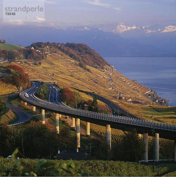 10313759  Licht  Abend Alpen  Autobahn  Viadukt  in der Nähe von Lavaux VD  Genferseegebiet  Herbst  Weinberge  Waadt