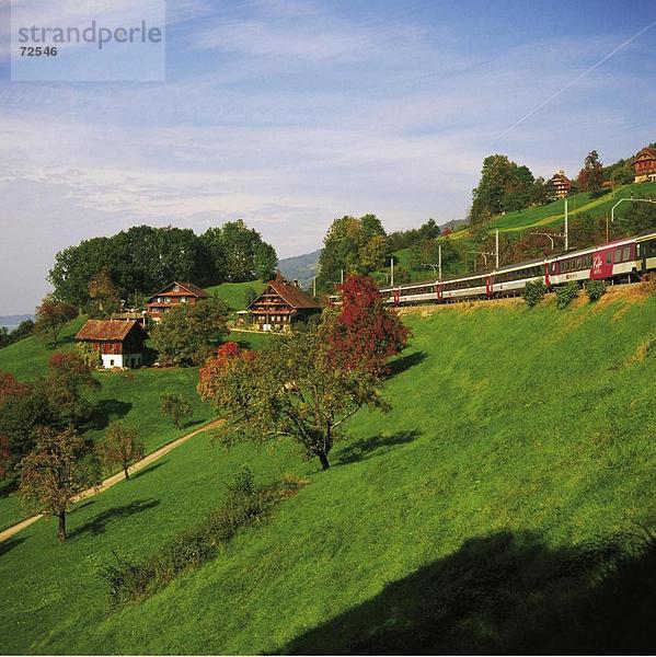 10316368  Hügel  Zug  Eisenbahn  Bahnhof  Bauernhäuser  Hügel  Obstbäume  SBB  Schweiz  Europa  Wiesen
