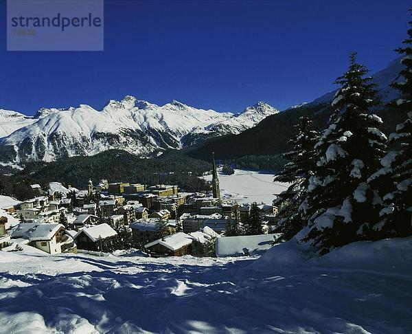 Europa Winter Wald Holz Draufsicht Kanton Graubünden Schweiz Bergpanorama