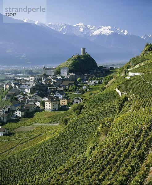 10371311  Dorf  Weinberge  Rhône-Tal  Saillon  Schnee Berge  Schweiz  Europa  Walliser Weinbaugebiete