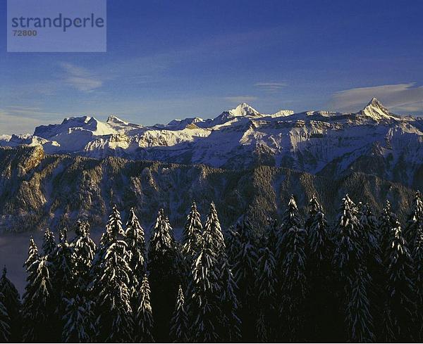 Landschaftlich schön landschaftlich reizvoll Berg Alpen Beatenberg Berner Oberland Kanton Bern Abenddämmerung Dämmerung