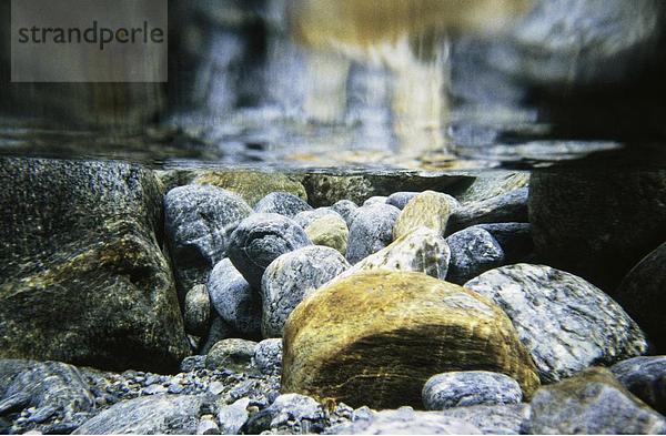 10415739  hell  Farben  Steine  bunt  River  Fluss  klar  Wasser  Schweiz  Europa  Tessin  Unterwasser eintritt  V