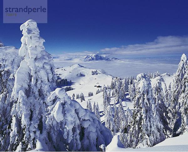 10449537  Ansicht von Rigi  Landschaft  Luzern  Nadelwald  Pilatus  Schnee  Schweiz  Europa  Skigebiet  Winter  clou