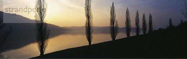 Panorama Landschaftlich schön landschaftlich reizvoll Europa Abenddämmerung Stimmung Schweiz Dämmerung Kanton Zug