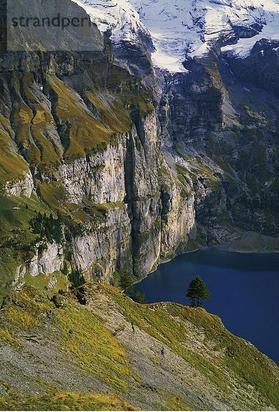 10481019  Bern  Berner Oberland  Detail  felsigen Klippen  Kandersteg  Oeschinensee  See  Meer  Schweiz  Europa